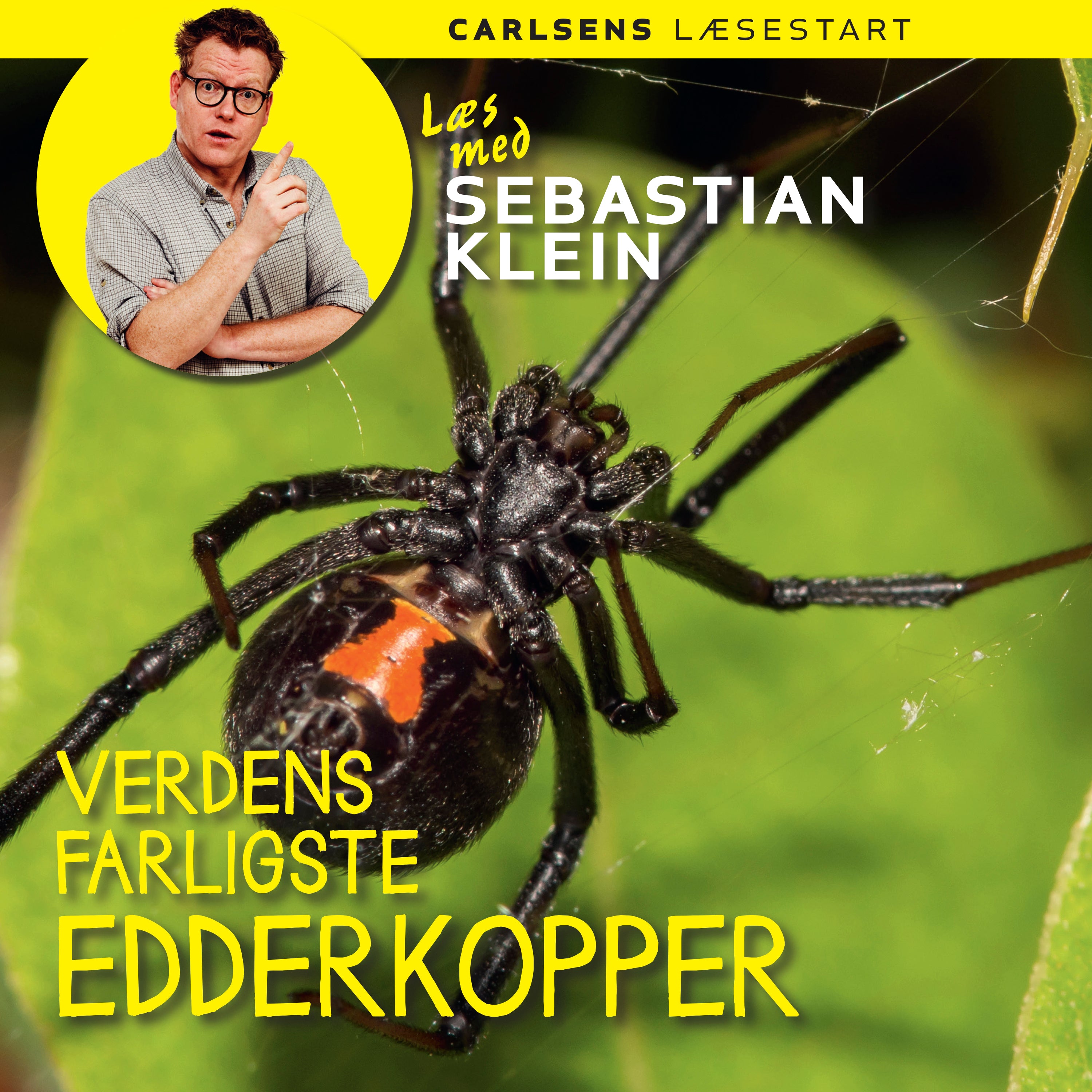 Forside billede